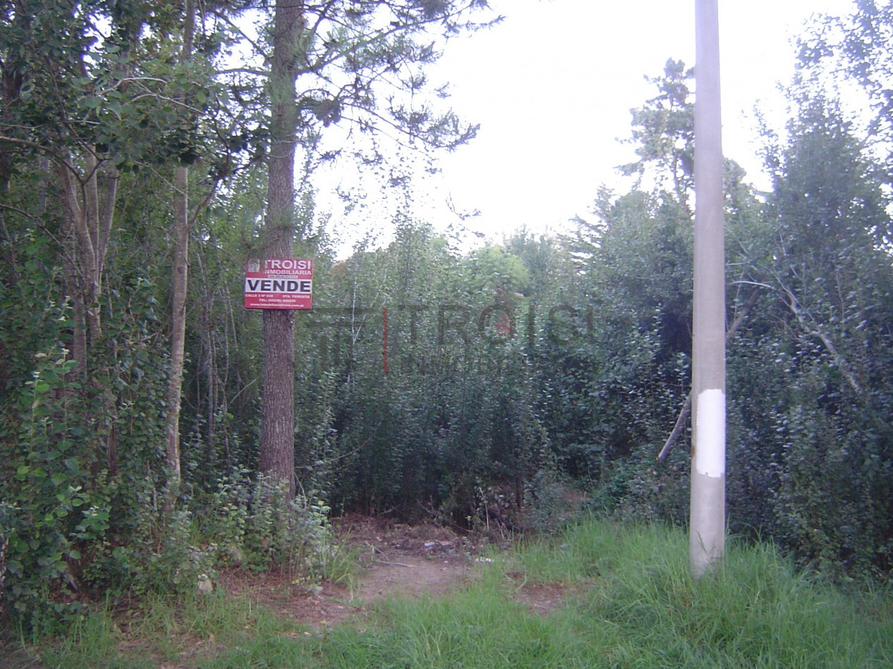 L18 - Lote Calle Buenos Aires e/ 27 y Peatonal - Santa Teresita
